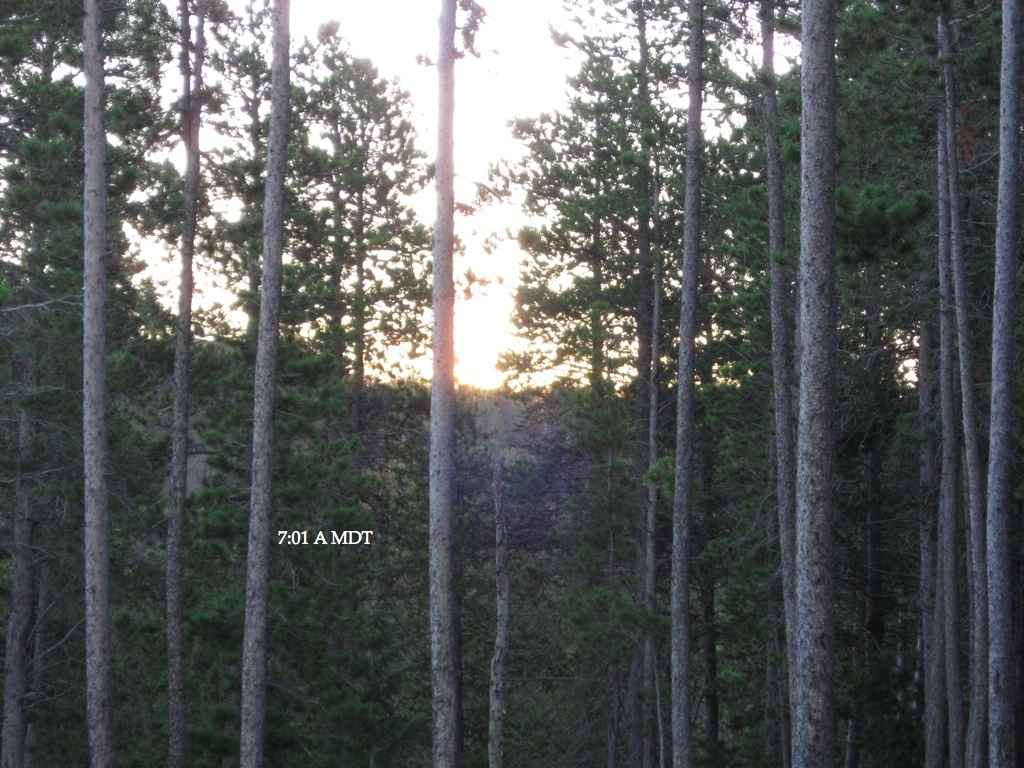 7:01A